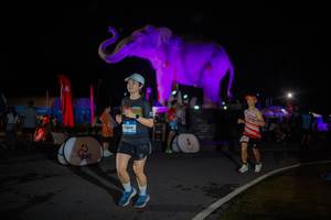 BIB: 
                            <button type="button" onclick="openModal(26551838)" class="btn btn-primary btn-sm float-right btn-popup" data-toggle="modal" data-target=".modal-high-quality">
                        <i class="fas fa-shopping-cart"></i> Add to Cart
                    </button>
                                            <button type="button" onclick="isThisMe(26551838, true)" class="btn btn-success btn-sm float-right btn-popup btn-isme hidden" data-toggle="tooltip" data-placement="bottom" title="นี่คือรูปของคุณใช่ไหม คลิกที่นี่เพื่อเอาเข้าอัลบั้ม">
                        <i class="fas fa-plus"></i> Add to album
                    </button>
                    <button type="button" onclick="isThisMe(26551838, false)" class="btn btn-warning btn-sm float-right btn-popup btn-isnotme hidden">
                        <i class="fas fa-ban"></i> Remove from album
                    </button>